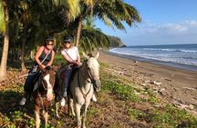 Jungle and Beach Horseback Riding Tour - 2H 1/2