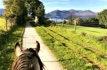 Killarney National Park Horseback Ride. Co Kerry. Guided. 3 hours.