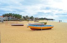 Sal Island: Guided Full-Day Highlights Tour with Lunch