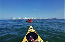 Punta Arena Excursion Kayak