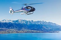 Kaikoura Whales