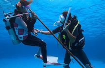 Naha: Full-Day Introductory diving & Snorkeling in the Kerama Islands, Okinawa