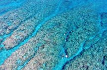 Naha: Full-Day Introductory diving & Snorkeling in the Kerama Islands, Okinawa