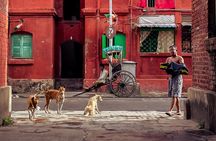 Cultural Confluence of Kolkata - Culture Kaleidoscope Tour