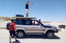 Full Day Safari Adventure to El Fayoum Oasis (4x4)