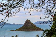 Private Oahu Half Circle Islander Tour with Pickup