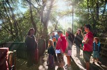 Whaka Trails and Maori Village Combo Tour 