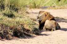 Hluhluwe Game Drive - Half day