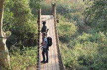 Mkuze (uMkhuze) Fig Forest Walk
