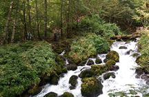 Private Full-Day Tour in Moraca and Tara Canyons, Durmitor & Biogradska Gora NP