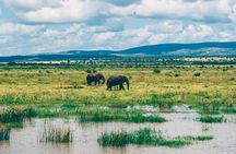 Jozini Boat Cruise: 3 to 4 Hours