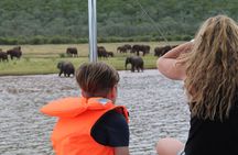 Jozini Boat Cruise: 3 to 4 Hours