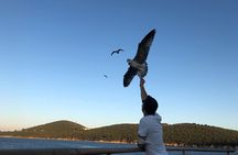Princess Islands Tour With Lunch and Guide
