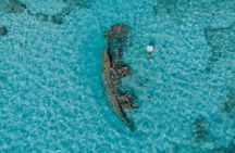 Cancun Snorkeling Tour: Swim with Turtles, Reef, Underwater Museum and Shipwreck