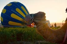 Cappadocia Sunrise Camel Safari 