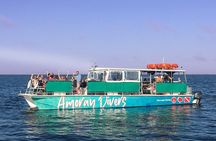 1.5 Hour Bay Side Key Largo Sunset Cruise on a Spacious Catamaran