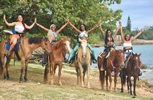 Jam west adventure park tour from Montego Bay