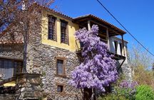 Halkidiki Experience: Private Tour to Sithonia from Thessaloniki