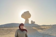 Overnight camping White Desert (Baharaya Oasis) & Cairo Private Transfers