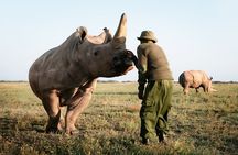 6 Days Private Rhino Conservation Safari in Kenya Tour