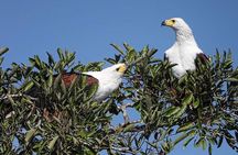 3 Day Kruger National Park Safari & Panorama Route 