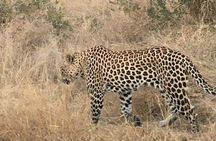 3 Day Kruger National Park Safari & Panorama Route 