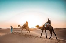 Three days Desert Trip From Agadir to Erg Chigaga Dunes
