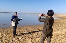  Fayoum Safari & Sand boarding around Wadi Hitan & Wadi Rayan 