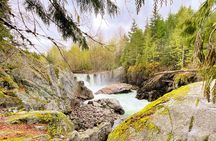 Whistler Train Wreck, Suspension Bridge & Hidden Waterfall Adventure