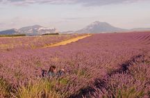 Sunset Lavender Tour in Valensole with pickup from Marseille 