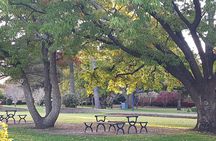 Discover Toowoomba Tours 