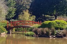 Discover Toowoomba Tours 