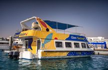 Glass-Bottom Boat 2-hours Tour and Coral-Reef Viewing from Aqaba