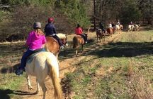 Memphis 1 hour Horseback Trail Ride 