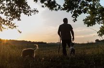 Truffle Lunch & Hunting Experience in San Gimignano