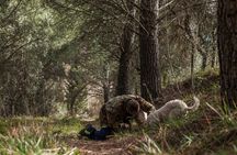Truffle Lunch & Hunting Experience in San Gimignano