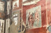 Guided tour of Herculaneum