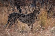 2 Day Kruger National Park Safari
