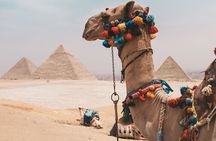 Hurghada: Cairo and Giza Highlights by mini Van with BBQ Lunch