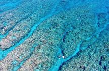 Half-Day Snorkeling Experience in the Kerama Islands from Naha