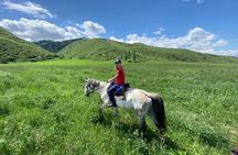 A superb horse riding in Chon Kemin valley, 1 day