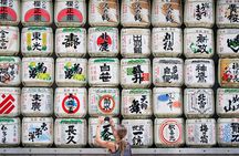 Tokyo 6hr Instagram Highlights Private Tour with Licensed Guide
