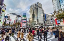 Tokyo 6hr Instagram Highlights Private Tour with Licensed Guide