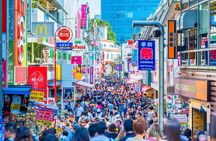 Tokyo 6hr Instagram Highlights Private Tour with Licensed Guide