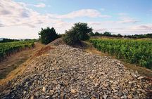 Full-Day Custom Tokaj Wine Tour