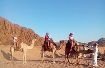 Unforgettable super safari 4x1 Bedouin Dinner,Camel Ride,Show,Quad Biking 