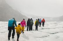Full Day Guided Glacier Hike on The Athabasca with IceWalks