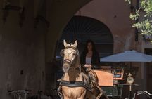 Carriage tour in the historic center of Lucca