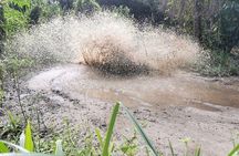 Roatan Jungle Buggy Ride with Mud Trails & Off-Road Thrills