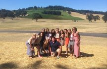 Private Willamette Valley Wine Tour from Portland
